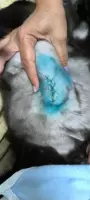 Ольга, изображение к комментарию.