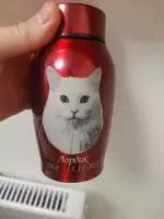 Карина, изображение к комментарию.