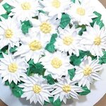 Анастасия Бондаренкова