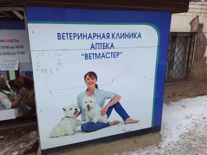 Фотография Ветмастер 4