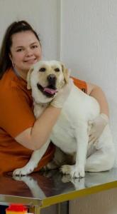 Фотография Сафари 5