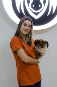 Фотография Сафари 4