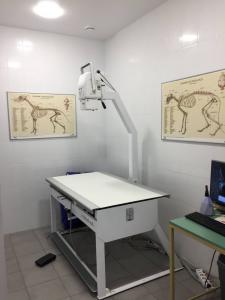 Фотография Айболит 2